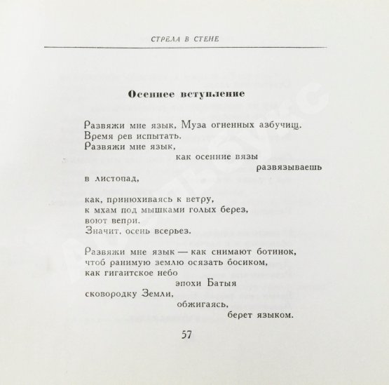 Антикварная книга Вознесенский, А.А. [автограф] Тень звука