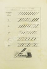 Деркачёв, И.П. Азбучка крошка (по звуковому способу)