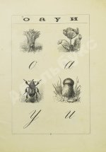 Деркачёв, И.П. Азбучка крошка (по звуковому способу)