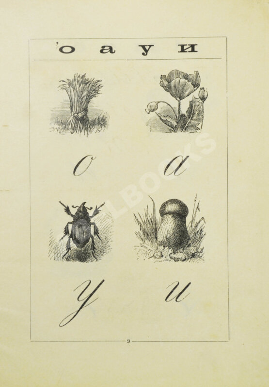 Антикварная книга Деркачёв, И.П. Азбучка крошка (по звуковому способу)