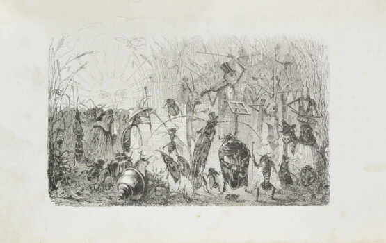 Первое/Прижизненное издание Полонский, Я.П. Кузнечик-музыкант. Шутка в виде поэмы