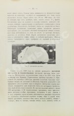 Жук, Н.Л. Краткие справочные сведения о хозяйствах, разводящих птицу, кроликов и коз