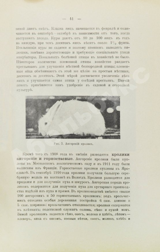 Антикварная книга Жук, Н.Л. Краткие справочные сведения о хозяйствах, разводящих птицу, кроликов и коз