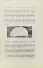 Жук, Н.Л. Краткие справочные сведения о хозяйствах, разводящих птицу, кроликов и коз