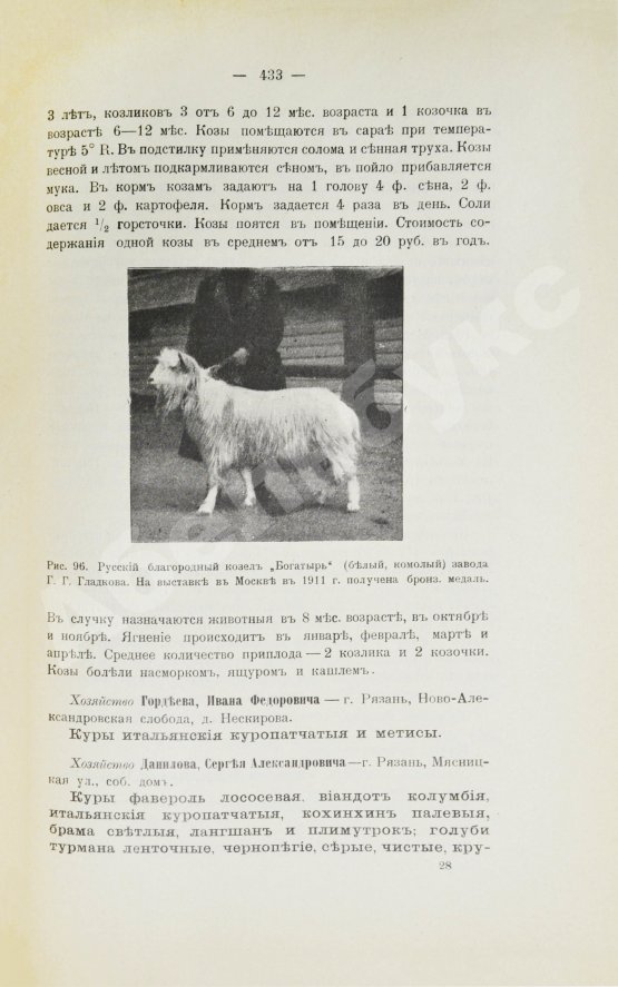 Антикварная книга Жук, Н.Л. Краткие справочные сведения о хозяйствах, разводящих птицу, кроликов и коз
