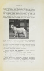 Жук, Н.Л. Краткие справочные сведения о хозяйствах, разводящих птицу, кроликов и коз