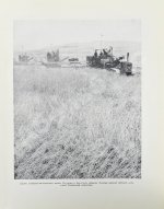 Меркульева, К.А. За страну изобилия