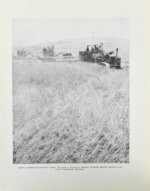 Меркульева, К.А. За страну изобилия