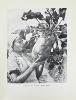 Меркульева, К.А. За страну изобилия