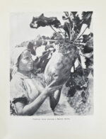 Меркульева, К.А. За страну изобилия