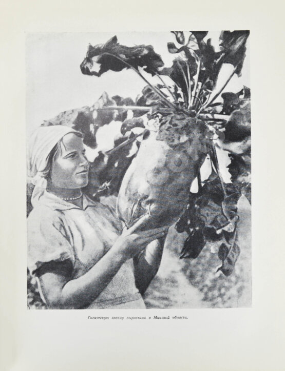 Антикварная книга Меркульева, К.А. За страну изобилия