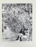 Меркульева, К.А. За страну изобилия