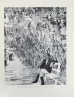 Меркульева, К.А. За страну изобилия