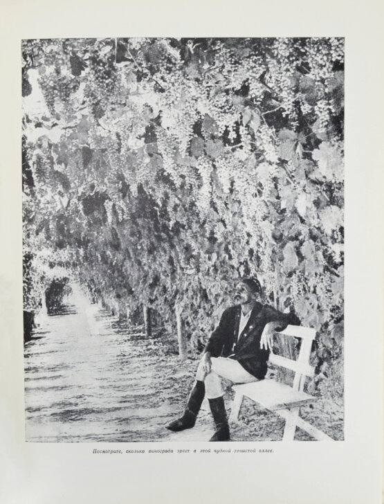 Антикварная книга Меркульева, К.А. За страну изобилия