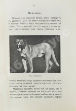 Шенец, А.Ф. Породы собак, воспитание и дрессировка комнатных и натаска подружейных