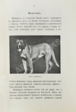Шенец, А.Ф. Породы собак, воспитание и дрессировка комнатных и натаска подружейных