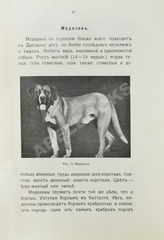 Антикварная книга Шенец, А.Ф. Породы собак, воспитание и дрессировка комнатных и натаска подружейных