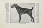 Шенец, А.Ф. Породы собак, воспитание и дрессировка комнатных и натаска подружейных