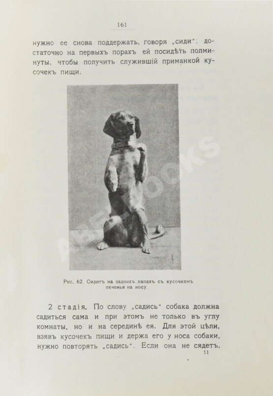 Антикварная книга Шенец, А.Ф. Породы собак, воспитание и дрессировка комнатных и натаска подружейных