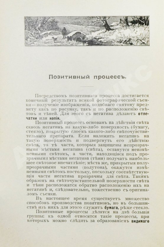 Руководство для начинающих заниматься фотографией