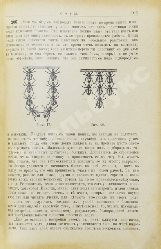 Антикварная книга Лангстрот, Л.-Л. Пчела и улей