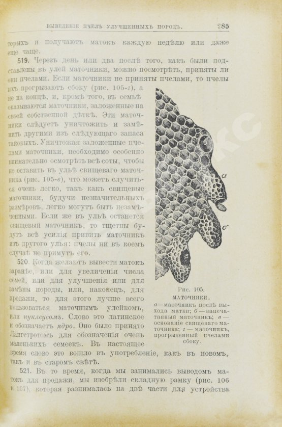 Антикварная книга Лангстрот, Л.-Л. Пчела и улей