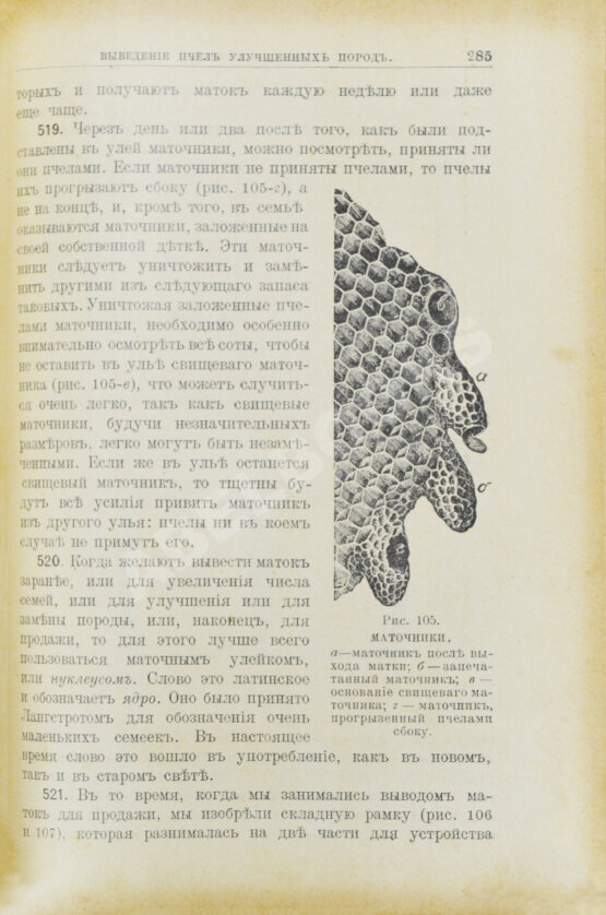 Антикварная книга Лангстрот, Л.-Л. Пчела и улей Антикварная книга Лангстрот, Л.-Л. Пчела и улей
