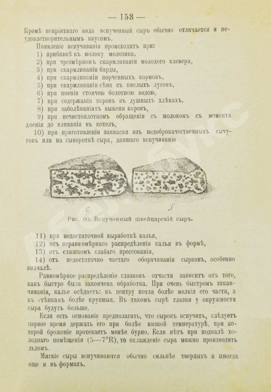 Антикварная книга Щербинин, А.Н. Маслоделие и сыроделие