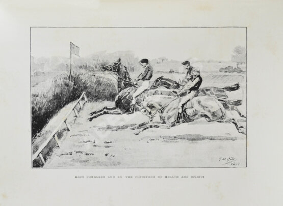 Антикварная книга Вейр, Р., Морей Браун, Дж. Верховая езда. Поло