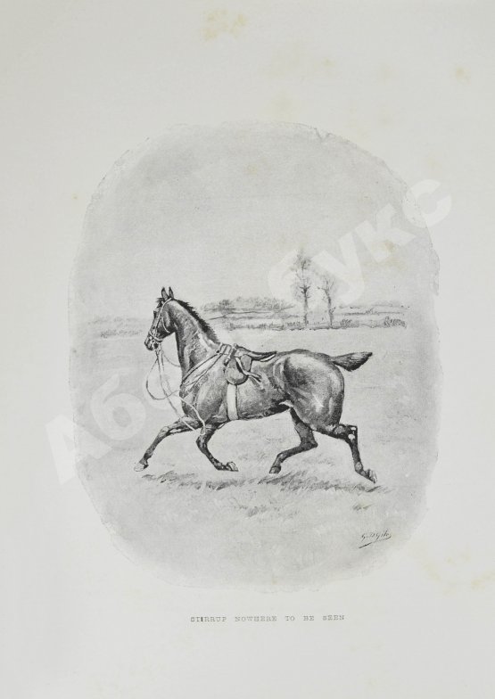 Антикварная книга Вейр, Р., Морей Браун, Дж. Верховая езда. Поло