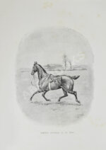 Вейр, Р., Морей Браун, Дж. Верховая езда. Поло