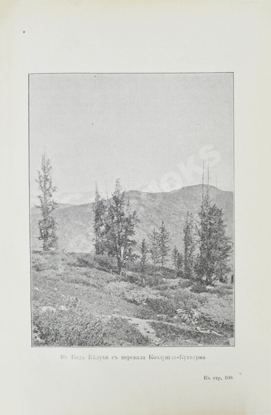 Антикварная книга Сапожников, В.В. По Алтаю. Дневник путешествия 1895 года Антикварная книга Сапожников, В.В. По Алтаю. Дневник путешествия 1895 года