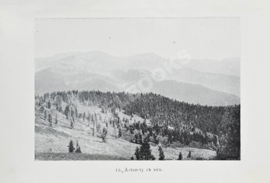 Антикварная книга Сапожников, В.В. Пути по Русскому Алтаю