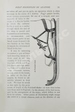 Коньки. Фигурное катание. Кёрлинг. Тобогган. Буерный спорт. Бенди