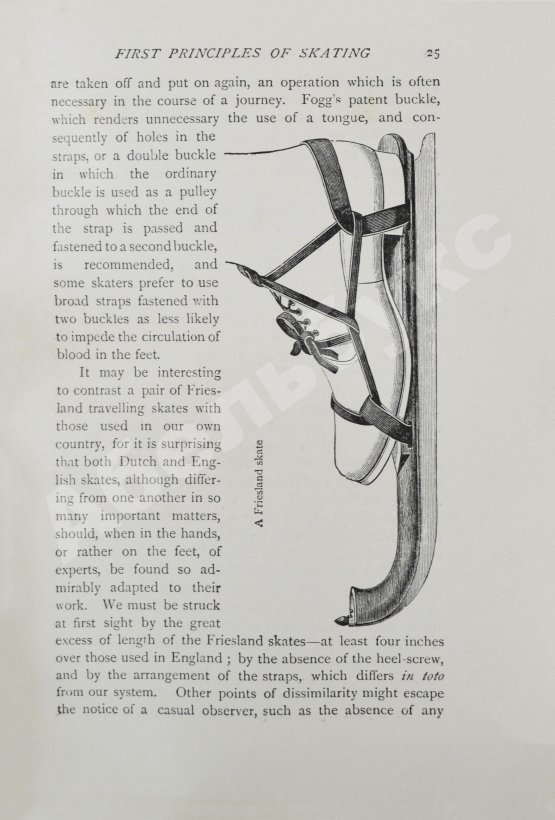 Антикварная книга Коньки. Фигурное катание. Кёрлинг. Тобогган. Буерный спорт. Бенди