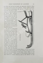 Коньки. Фигурное катание. Кёрлинг. Тобогган. Буерный спорт. Бенди