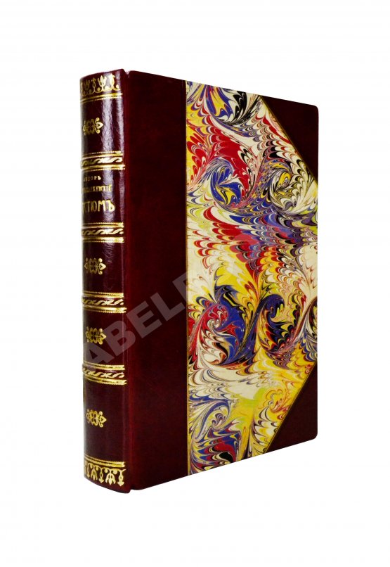 Антикварная книга Костюм