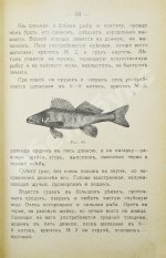 Пирагис, Л.Ю. Рыболов-удильщик