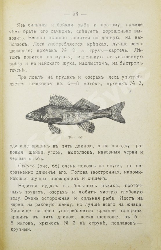 Антикварная книга Пирагис, Л.Ю. Рыболов-удильщик