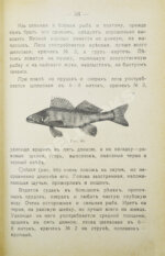 Пирагис, Л.Ю. Рыболов-удильщик