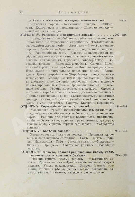 Кулешов, П.Н. Коневодство
