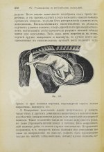 Кулешов, П.Н. Коневодство