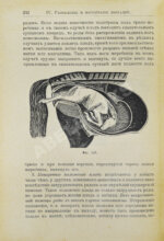 Кулешов, П.Н. Коневодство