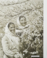 [автограф первого секретаря ЦК КП Азербайджана Ахундова Вели Юсуфа оглы] Советский Азербайджан