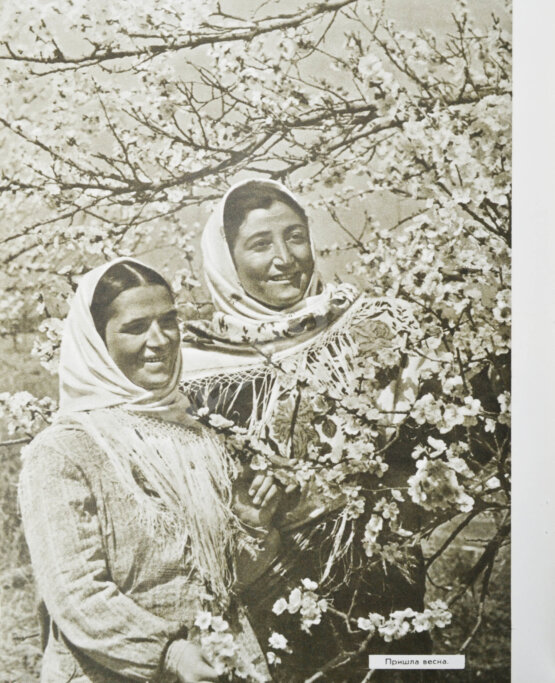 Антикварная книга [автограф первого секретаря ЦК КП Азербайджана Ахундова Вели Юсуфа оглы] Советский Азербайджан