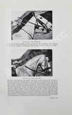 Брук, Дж. Чувство лошади и искусство выездки лошадей