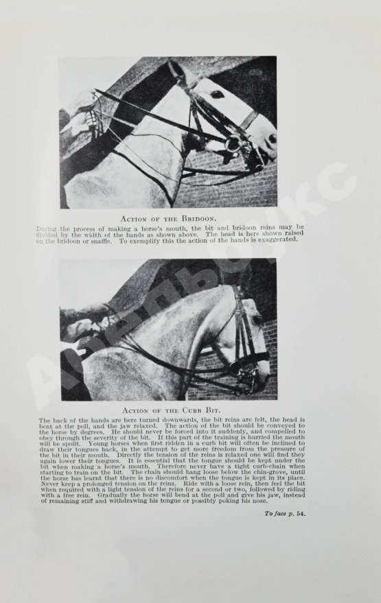 Антикварная книга Брук, Дж. Чувство лошади и искусство выездки лошадей