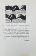 Брук, Дж. Чувство лошади и искусство выездки лошадей