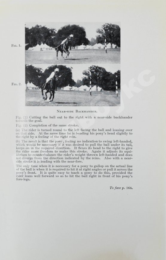 Антикварная книга Брук, Дж. Чувство лошади и искусство выездки лошадей