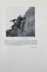 Брук, Дж. Чувство лошади и искусство выездки лошадей